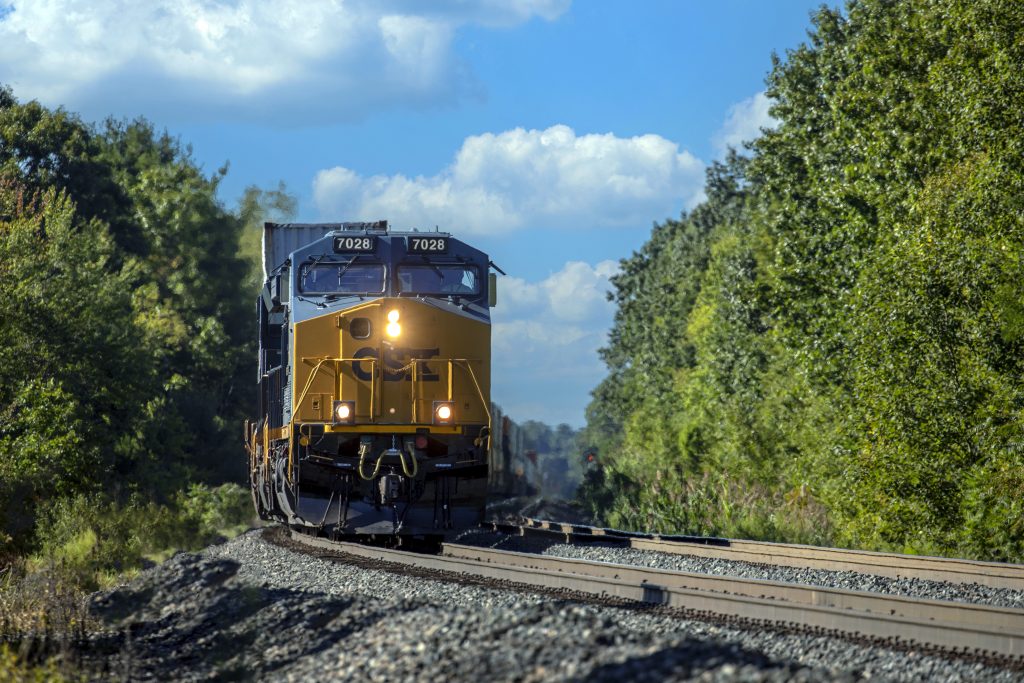 CSX train moving through green trees